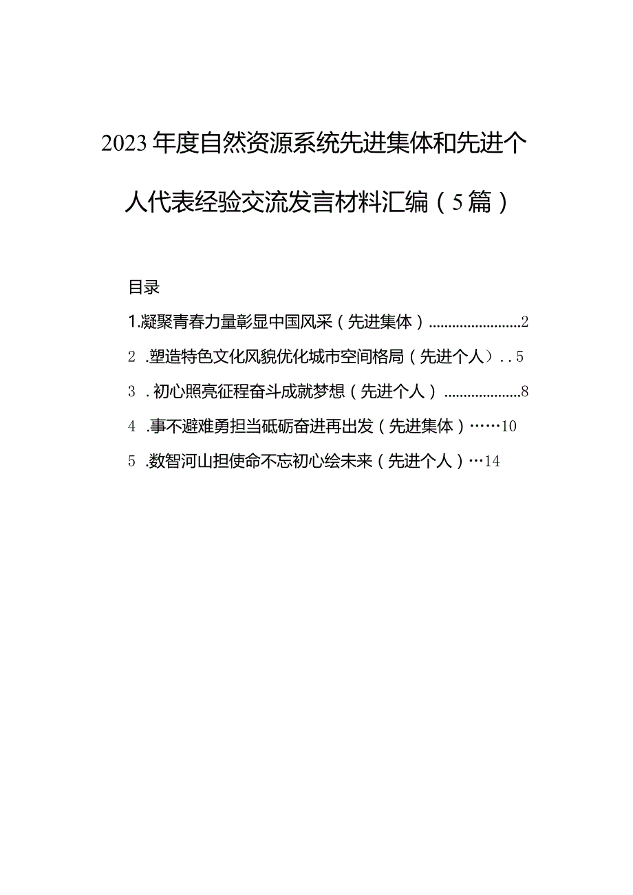 2023年度自然资源系统先进集体和先进个人代表经验交流发言材料汇编（5篇）.docx_第1页