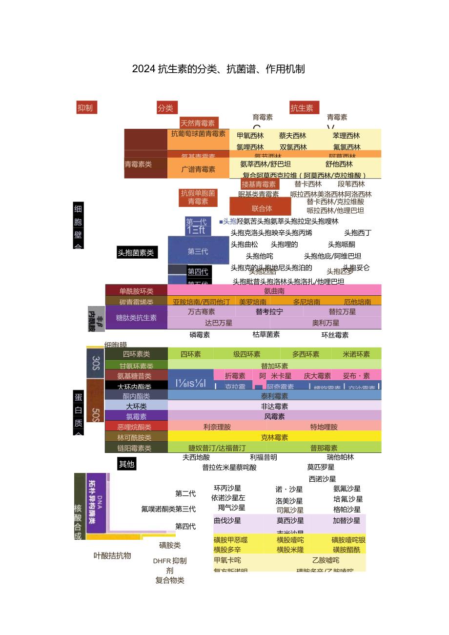 2024抗生素的分类、抗菌谱、作用机制.docx_第1页