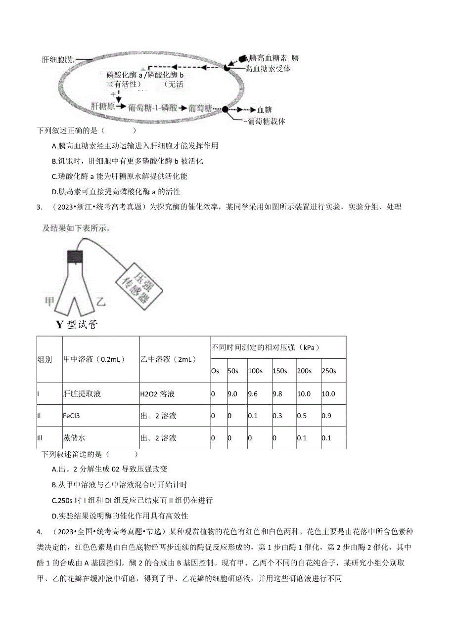 专题04酶和ATP（原卷版）.docx_第2页