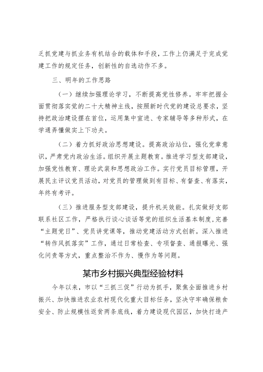 2023年党建工作总结&某市乡村振兴典型经验材料.docx_第3页