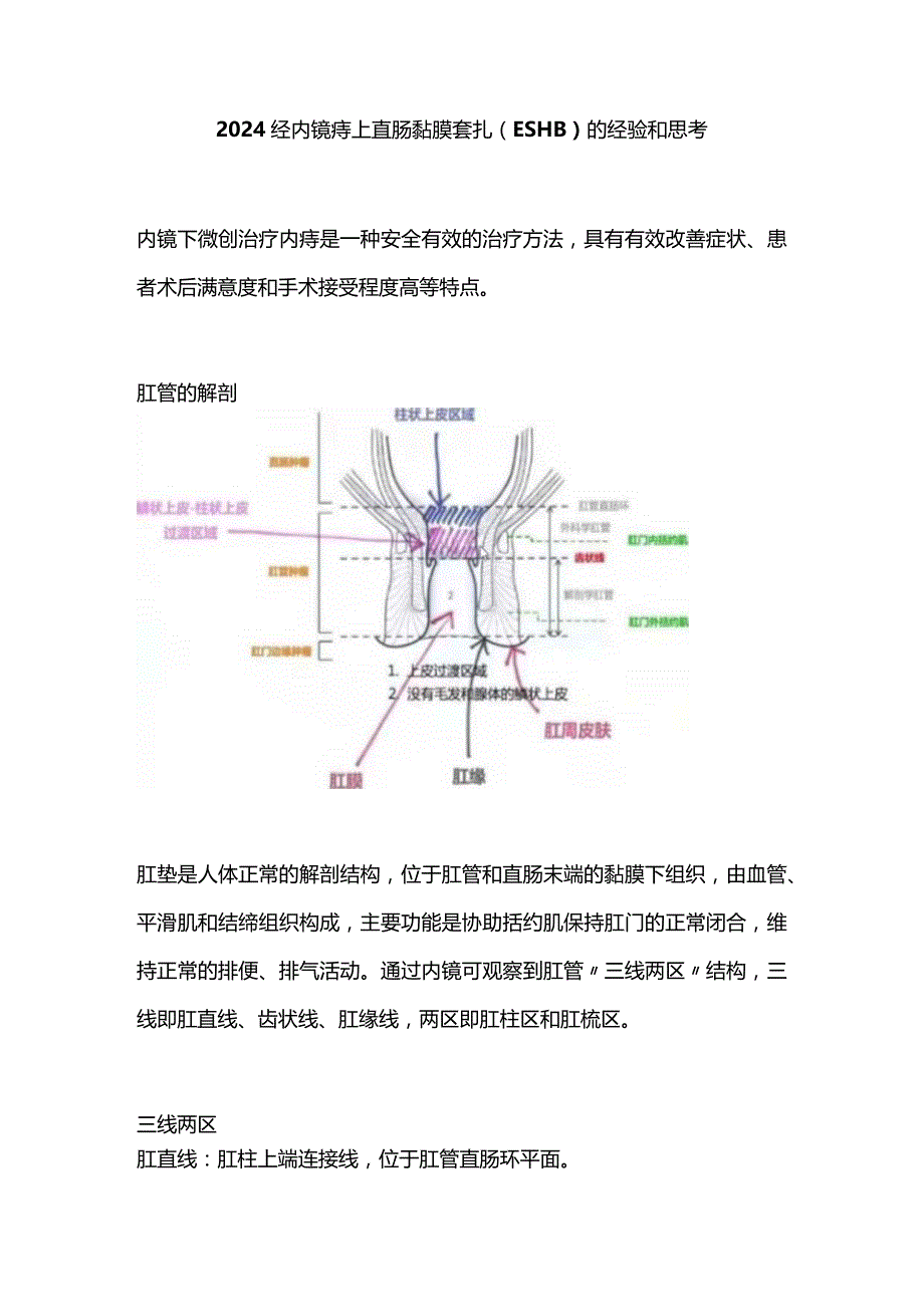 2024经内镜痔上直肠黏膜套扎（ESHB）的经验和思考.docx_第1页