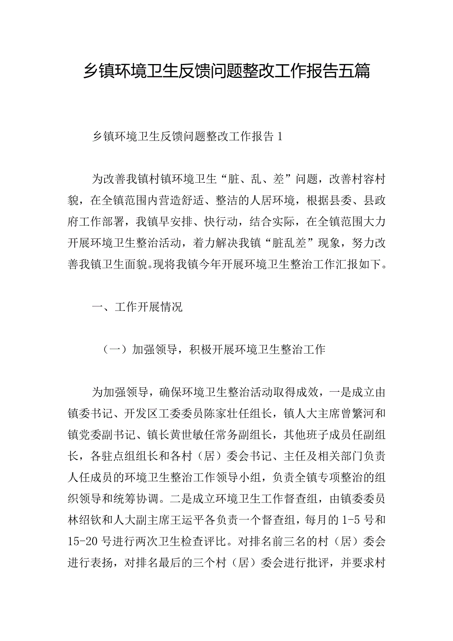 乡镇环境卫生反馈问题整改工作报告五篇.docx_第1页