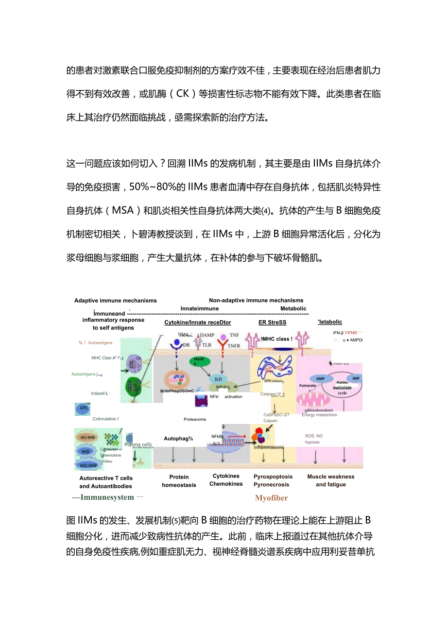 2024特发性炎性肌病治疗新策略.docx_第2页