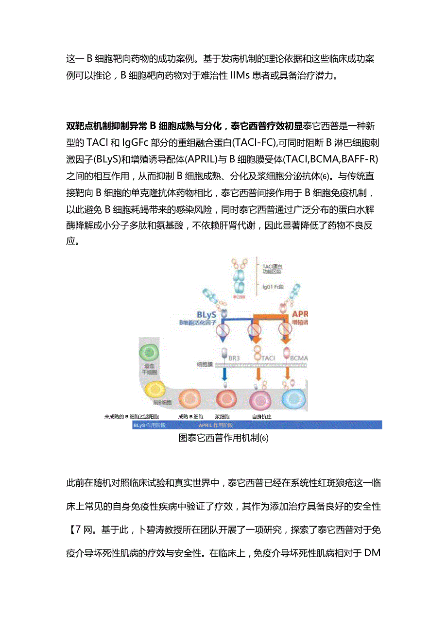 2024特发性炎性肌病治疗新策略.docx_第3页