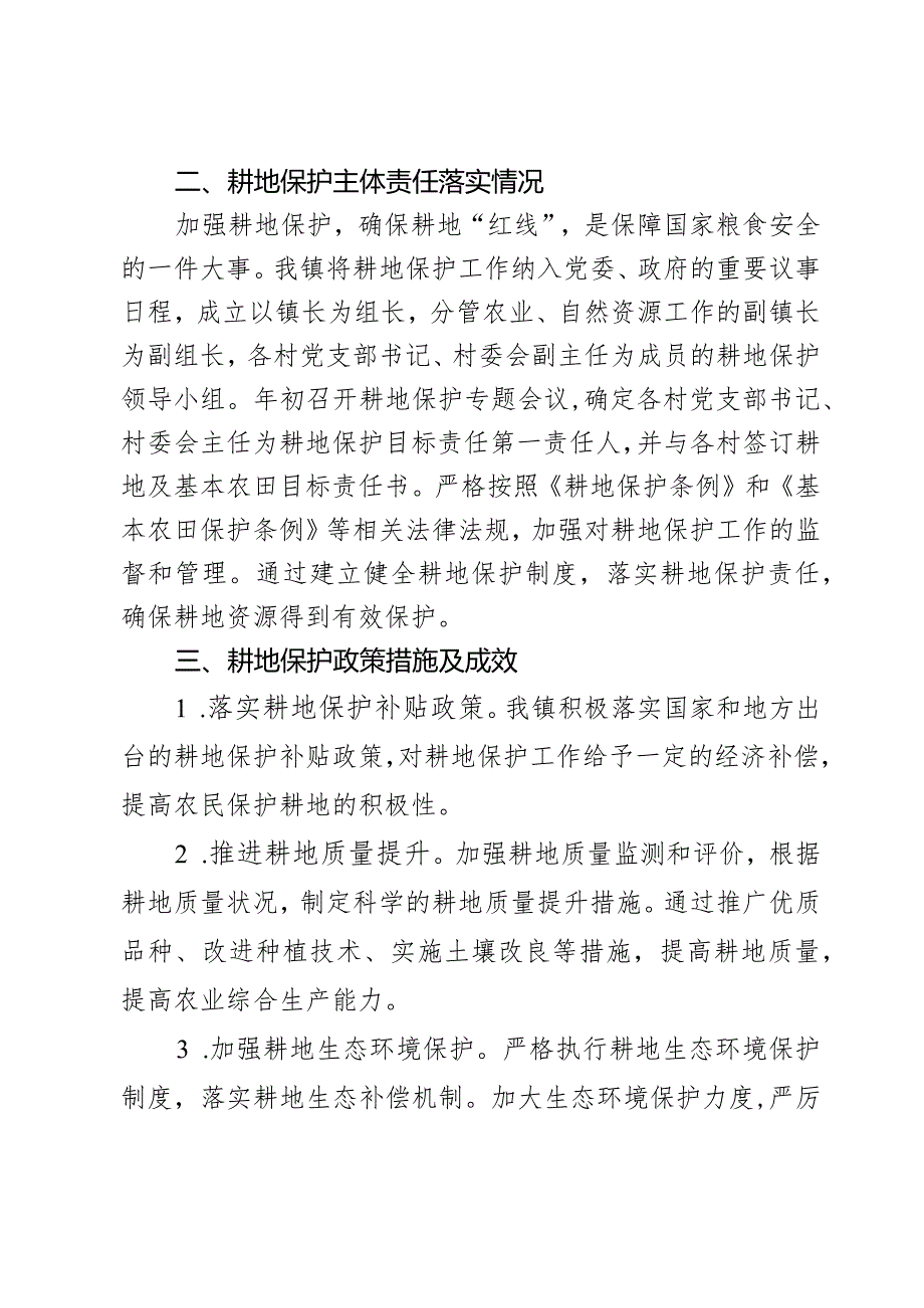 2023年某乡镇耕地保护责任目标履行情况自查报告.docx_第2页