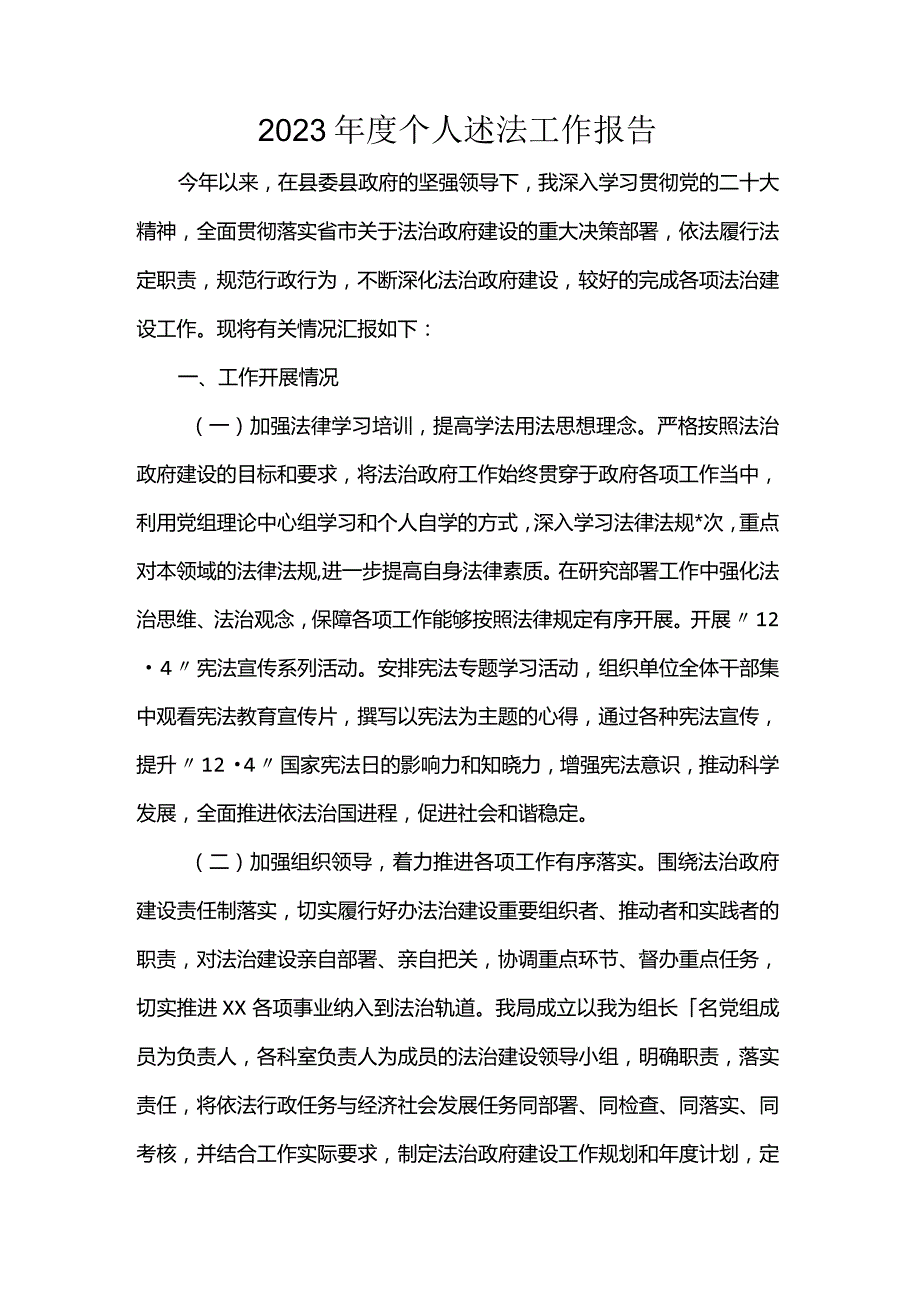 2023年度个人述法工作报告.docx_第1页