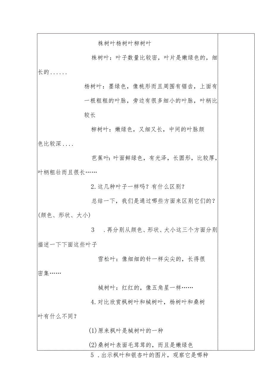 1.3观察叶（教案）-教科版科学一年级上册.docx_第3页