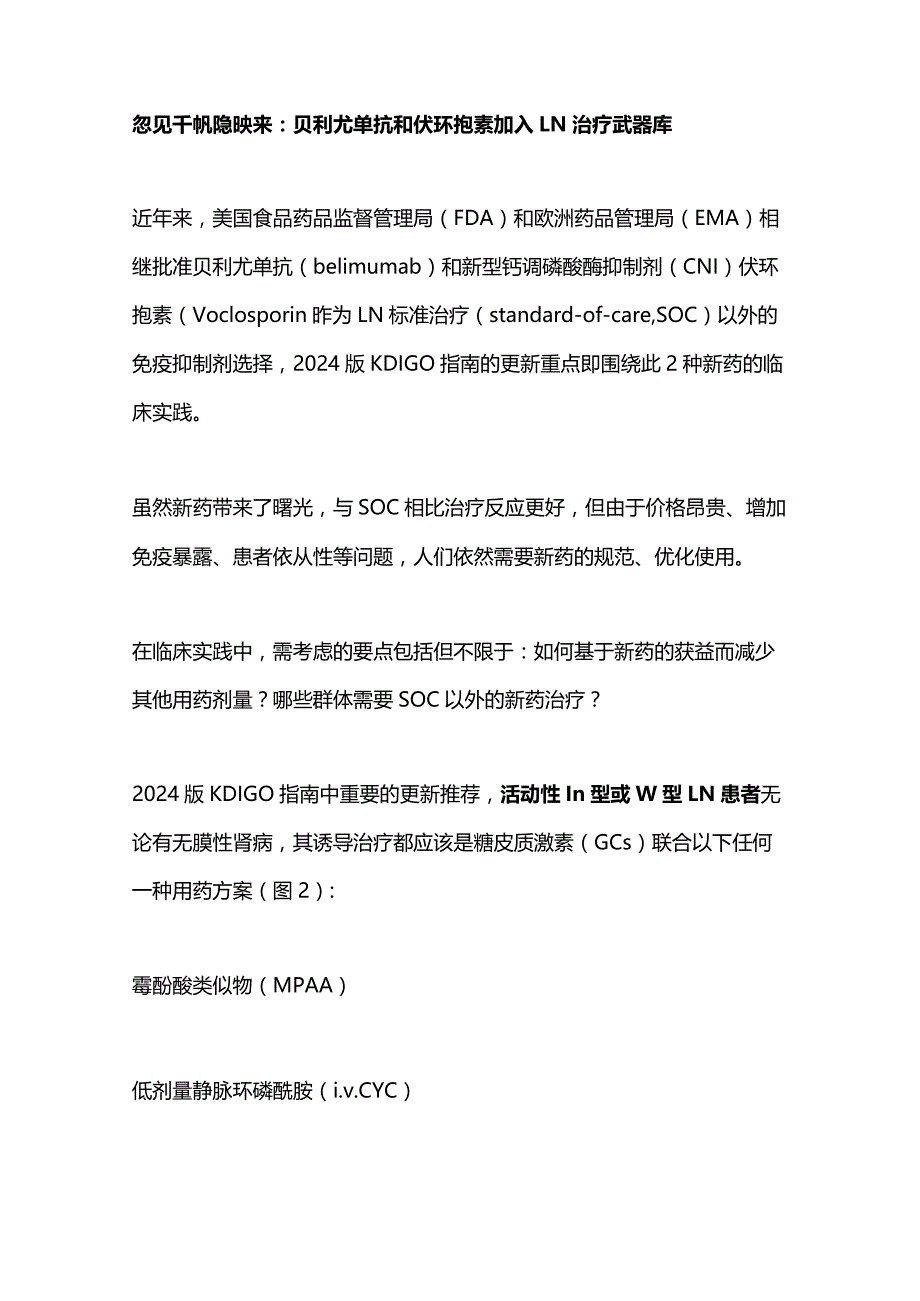 2024版KDIGO狼疮性肾炎指南更新要点.docx_第2页