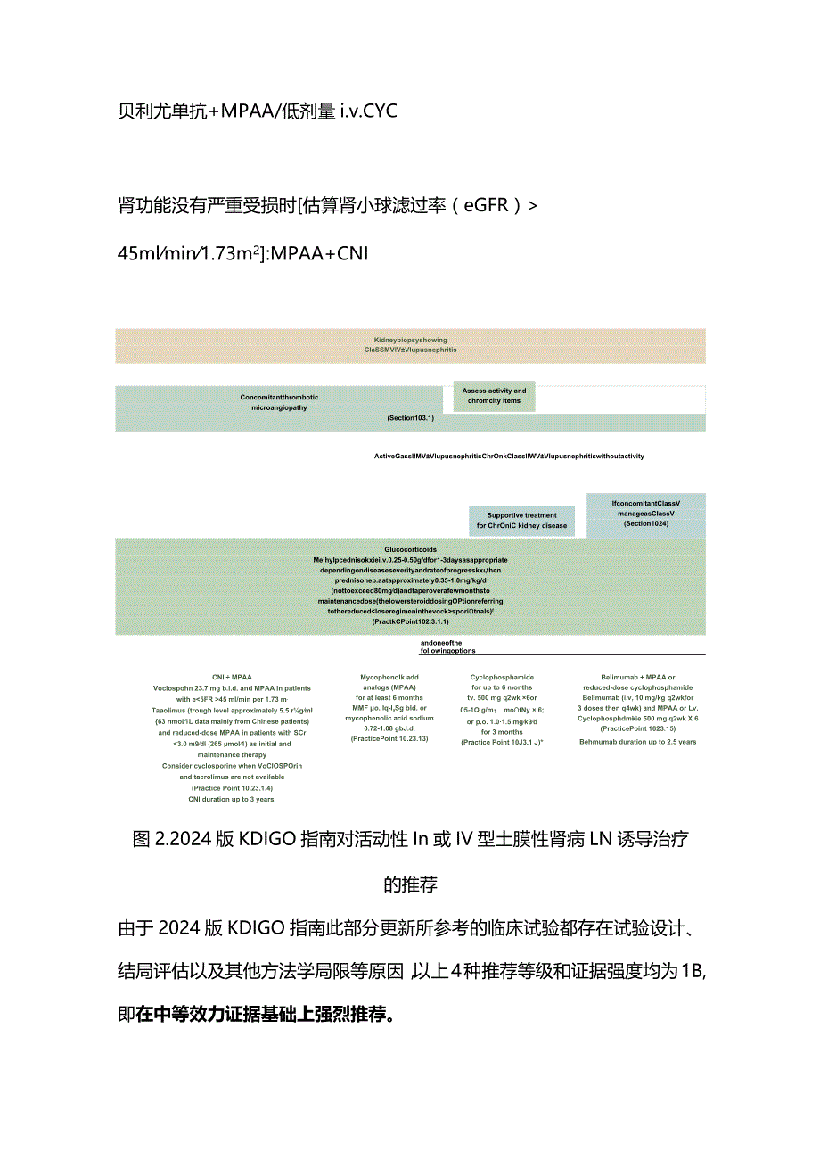 2024版KDIGO狼疮性肾炎指南更新要点.docx_第3页