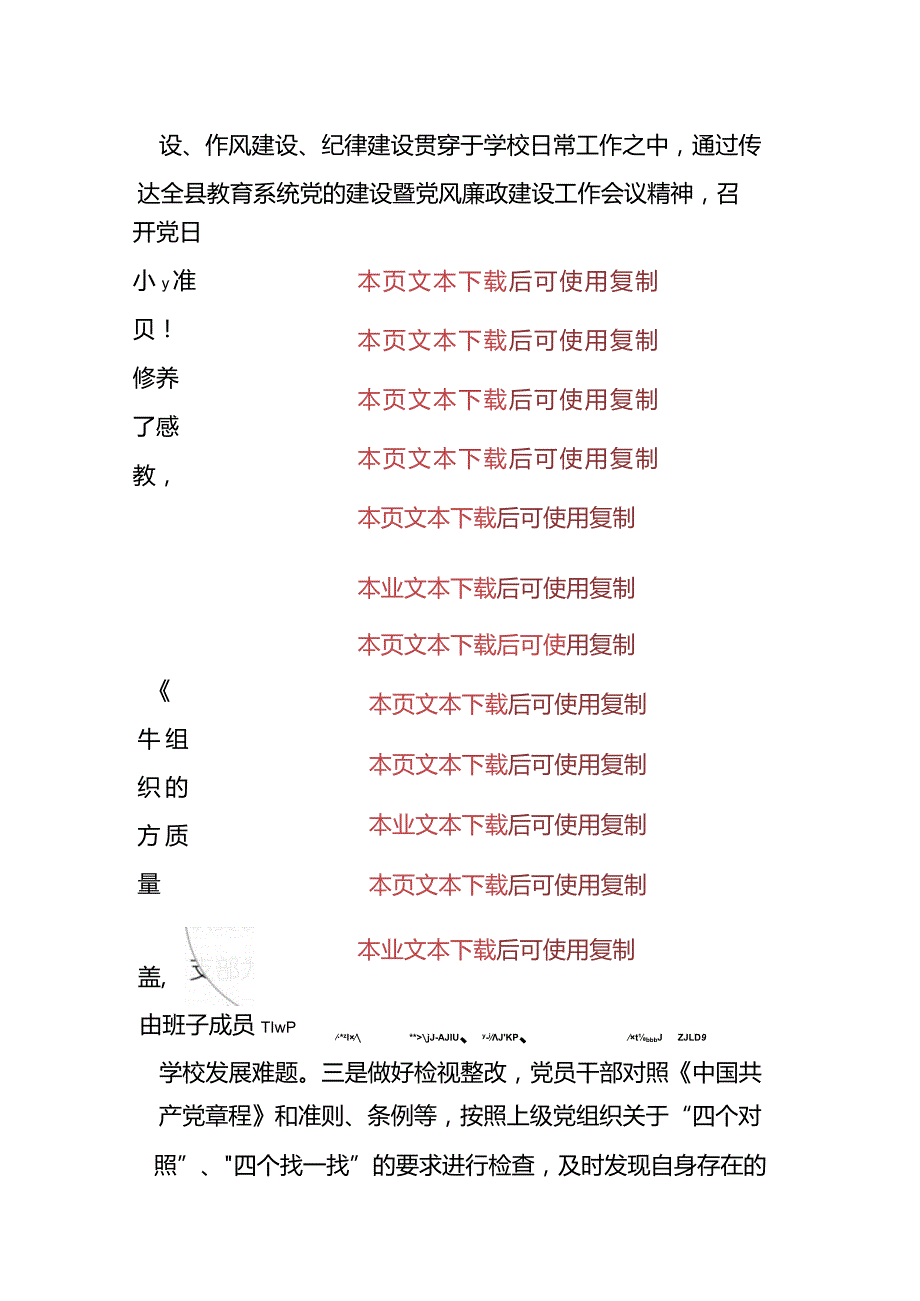 2024中小学党支部党建工作总结（精选）.docx_第3页