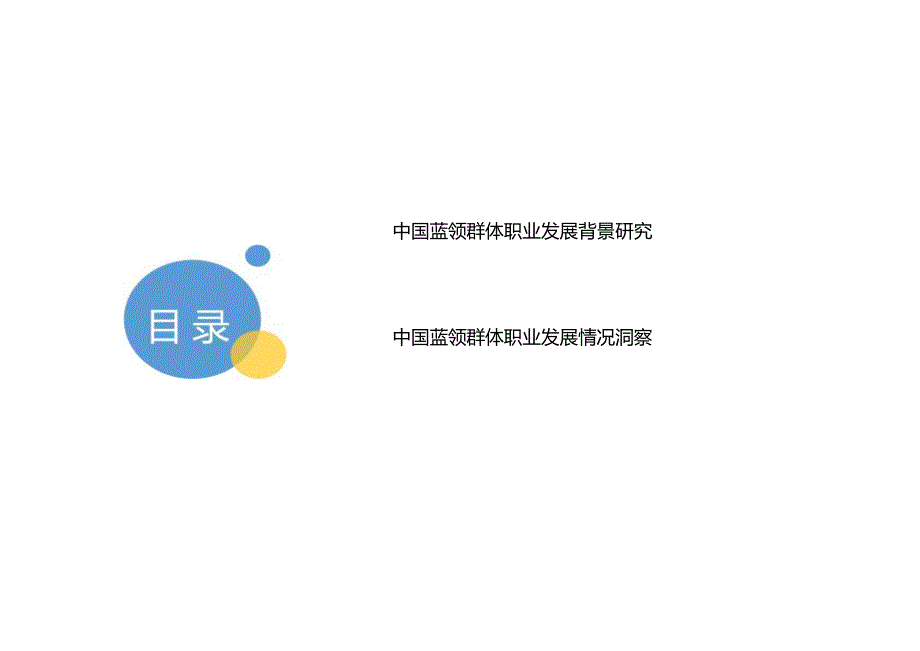 2023蓝领群体就业研究报告.docx_第1页