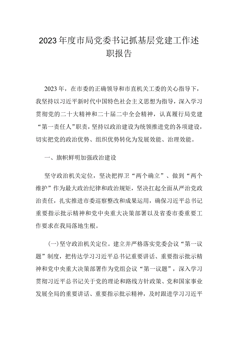 2023年度市局党委书记抓基层党建工作述职报告.docx_第1页