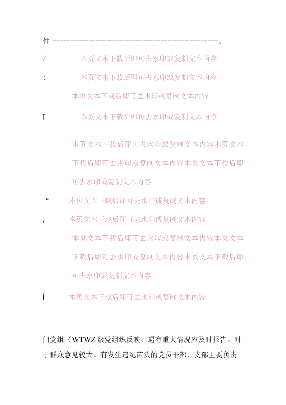 2024党内监督细则制度（完整版）.docx_第3页