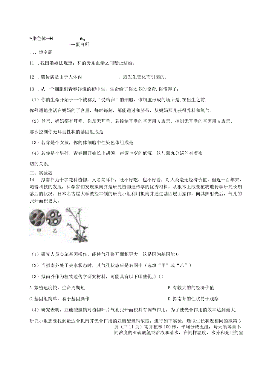 1.5遗传与进化同步练习（含解析）公开课教案教学设计课件资料.docx_第3页