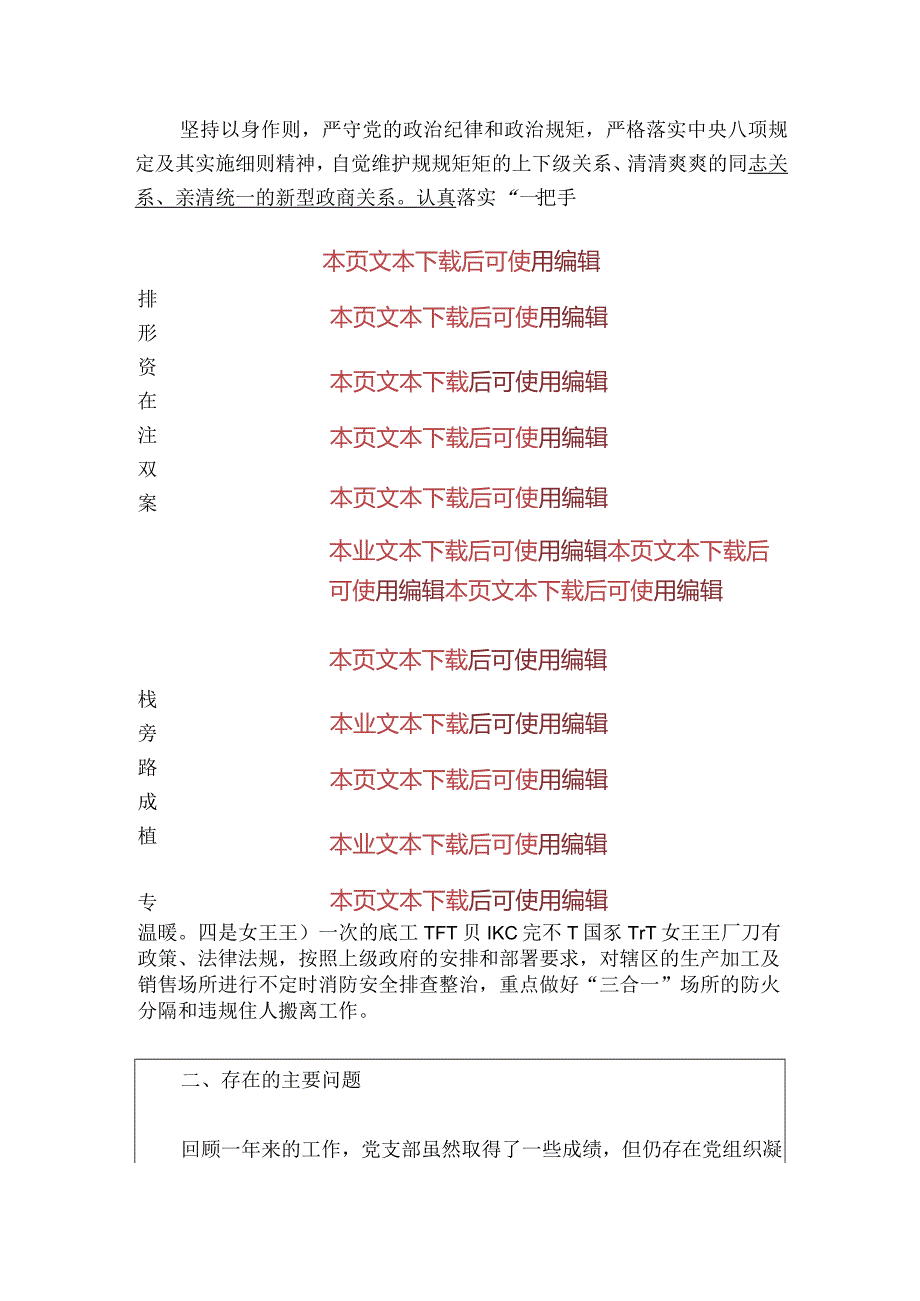 2024党支部书记述职报告（精选）.docx_第3页