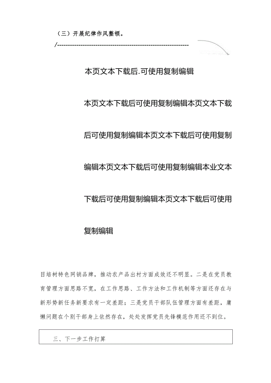 2024年党支部党建工作总结报告（最新版）.docx_第3页