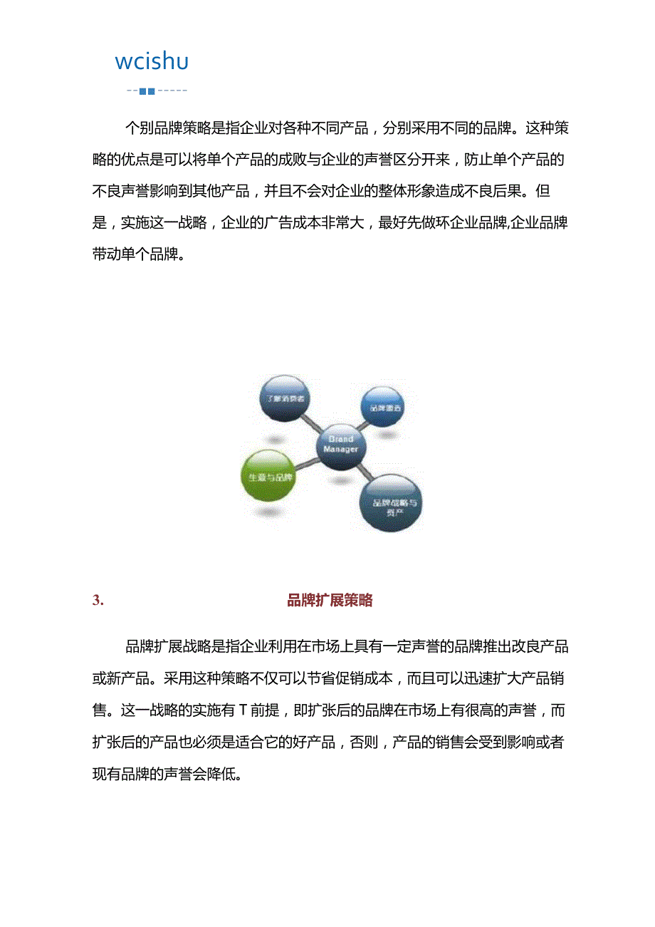 人们常见的品牌策略通常有哪几种？.docx_第2页