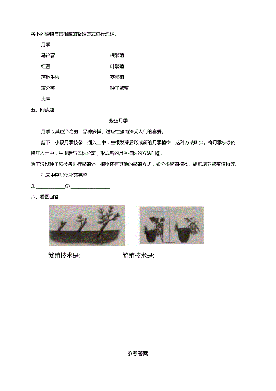 4-14《植物的“分身术”》练习（含答案）科学青岛版六三制三年级下册.docx_第3页