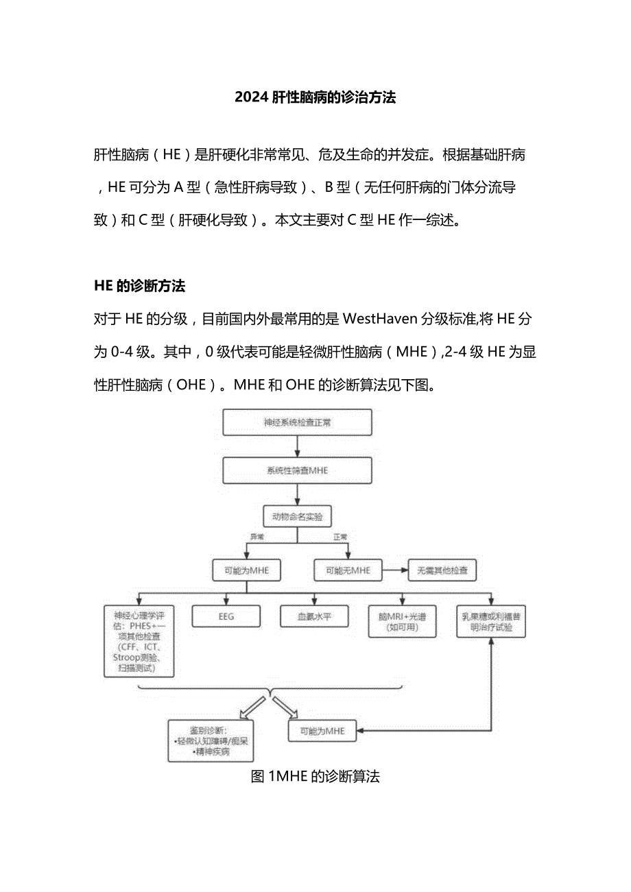 2024肝性脑病的诊治方法.docx_第1页