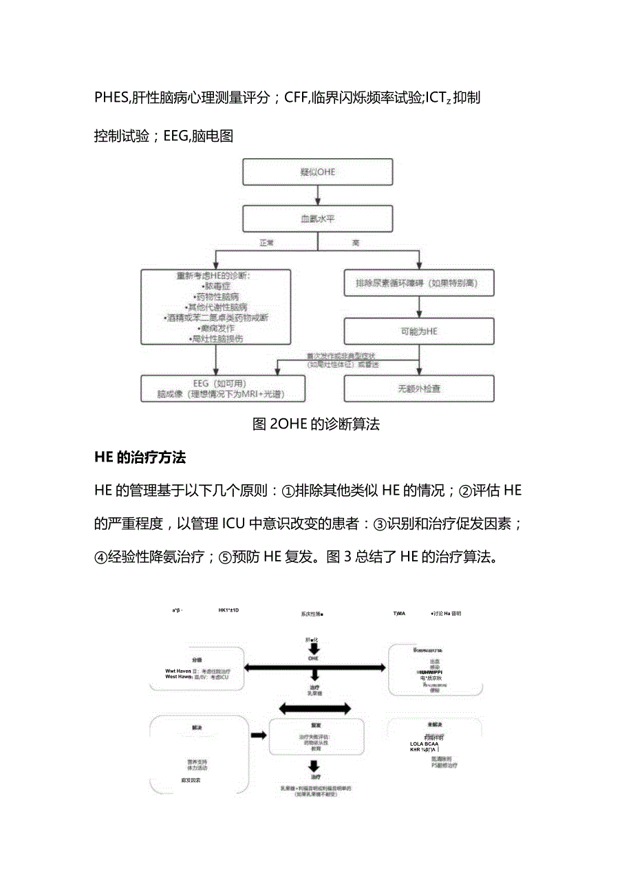 2024肝性脑病的诊治方法.docx_第2页