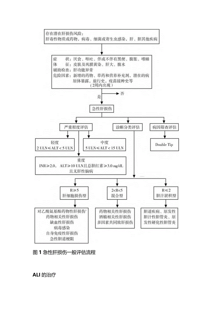 2024《成人急性肝损伤诊疗急诊专家共识》推荐意见.docx_第3页