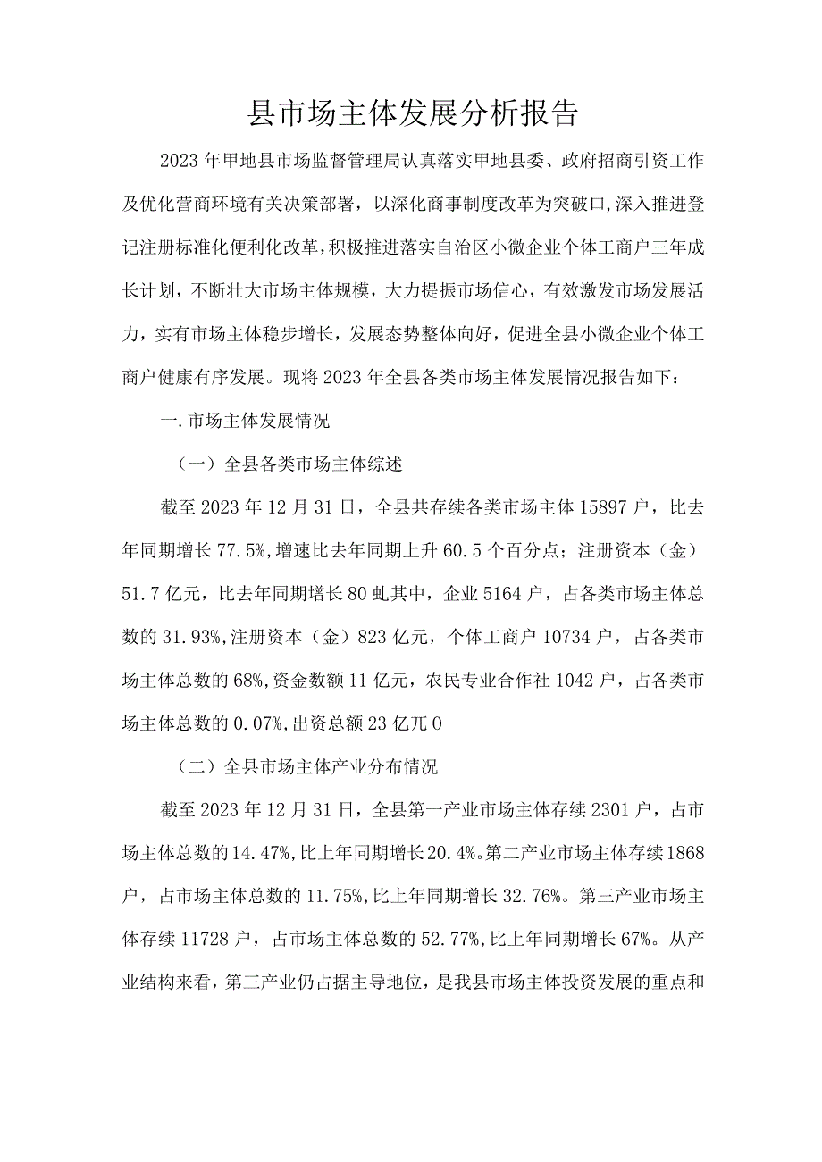 县市场主体发展分析报告.docx_第1页