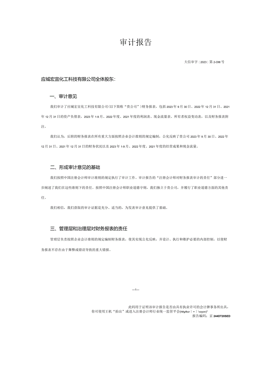 双环科技：应城宏宜化工科技有限公司2023年1-9月、2022年度、2021年度审计报告.docx_第2页