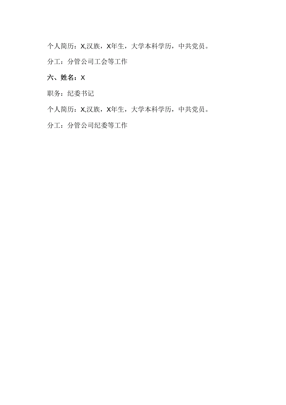 国网X省电力公司X市X区供电公司领导分工（2024年）.docx_第2页