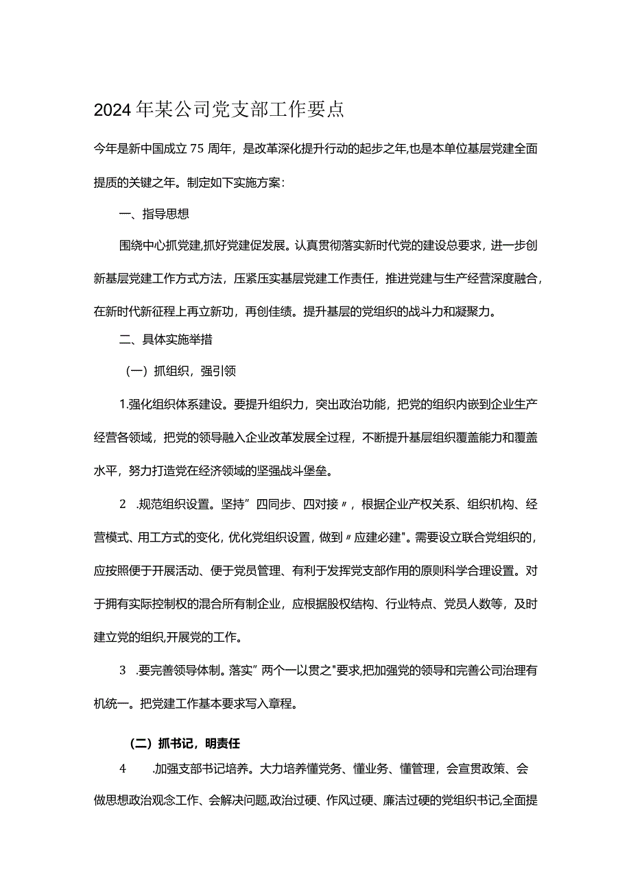 2024年某公司党支部工作要点.docx_第1页