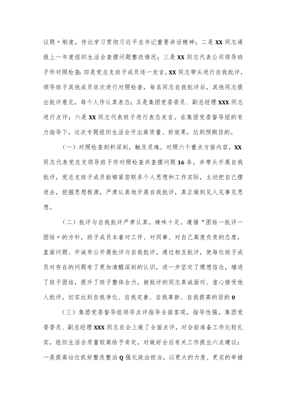 公司党总支主题教育专题组织生活会召开情况报告.docx_第3页