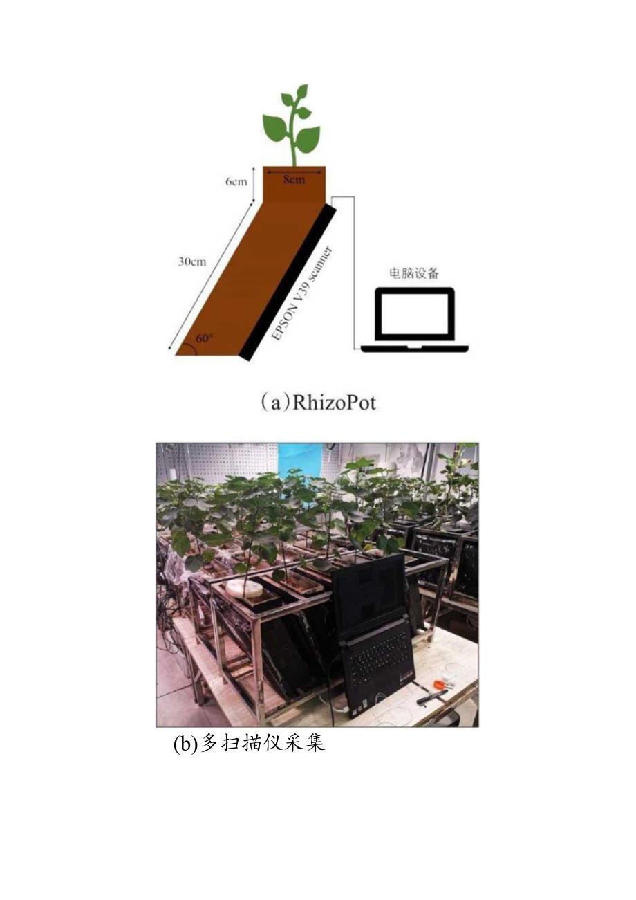 改进棉花根系图像分割方法.docx_第2页