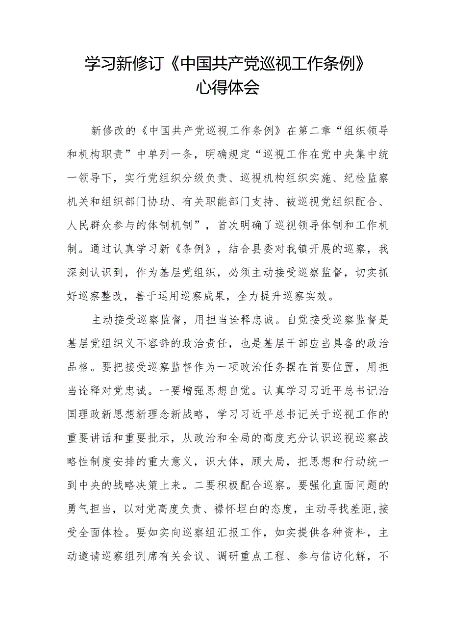 乡镇干部学习2024新修订《中国共产党巡视工作条例》心得体会五篇.docx_第3页