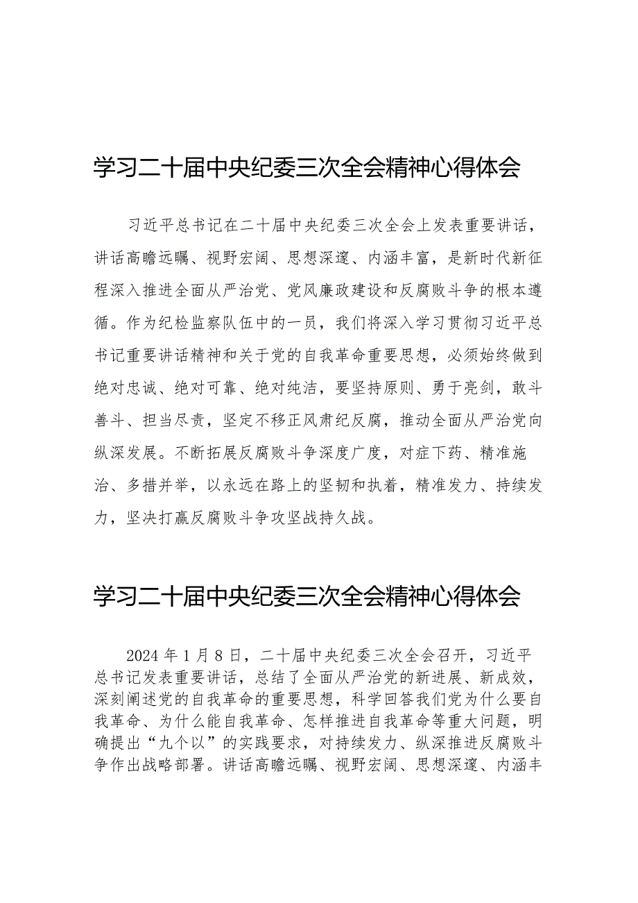 纪检人员学习贯彻二十届中央纪委三次全会精神的心得体会十九篇.docx_第1页