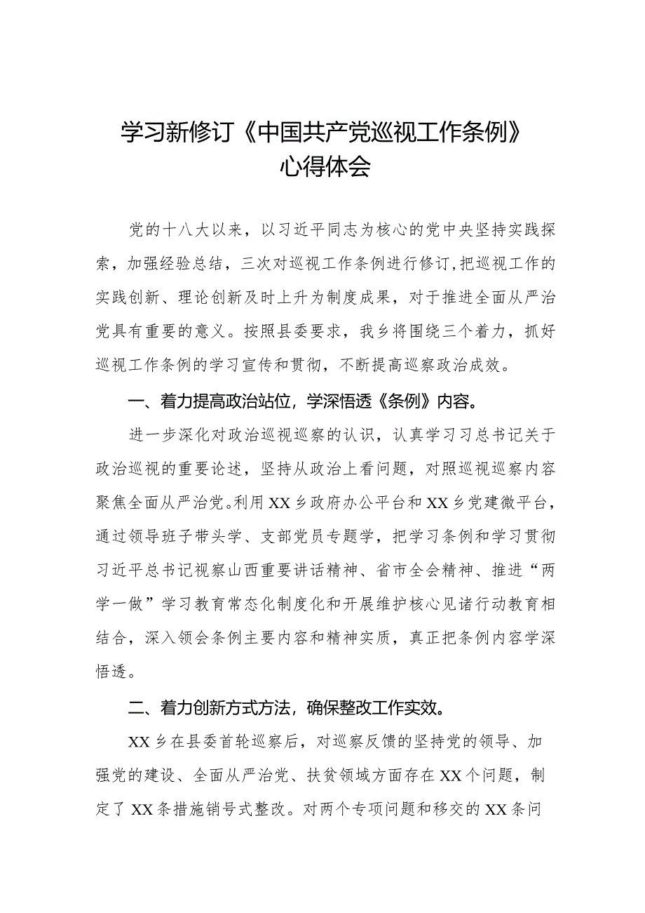 乡干部学习贯彻2024版新修订《中国共产党巡视工作条例》学习体会交流发言五篇.docx_第1页