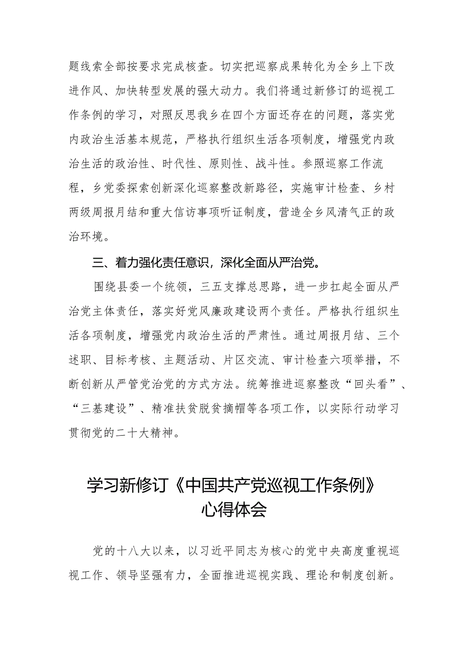 乡干部学习贯彻2024版新修订《中国共产党巡视工作条例》学习体会交流发言五篇.docx_第2页