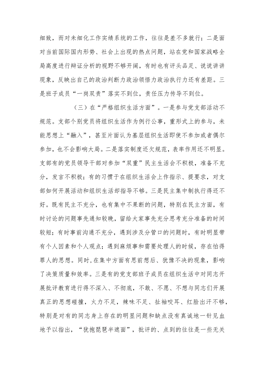 党支部班子2023年度专题组织生活六个方面检查材料.docx_第3页