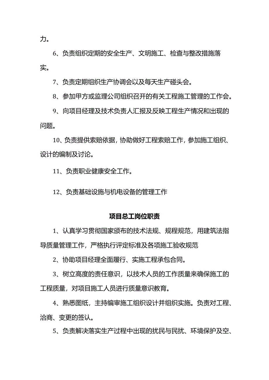 项目岗位职责.docx_第2页