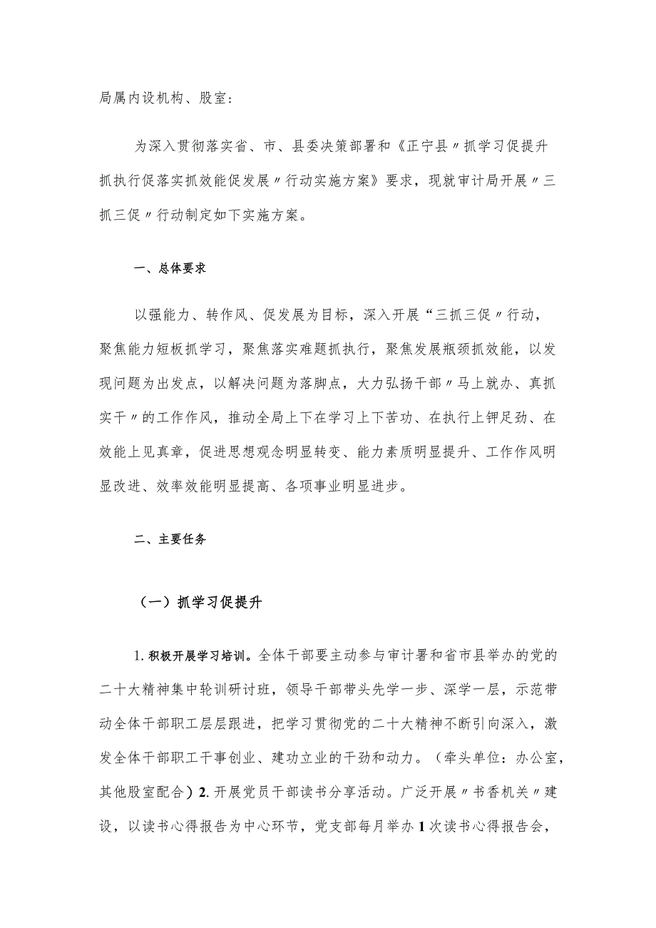 县审计局党组 “抓学习促提升抓执行促落实抓效能促发展”行动实施方案.docx_第1页