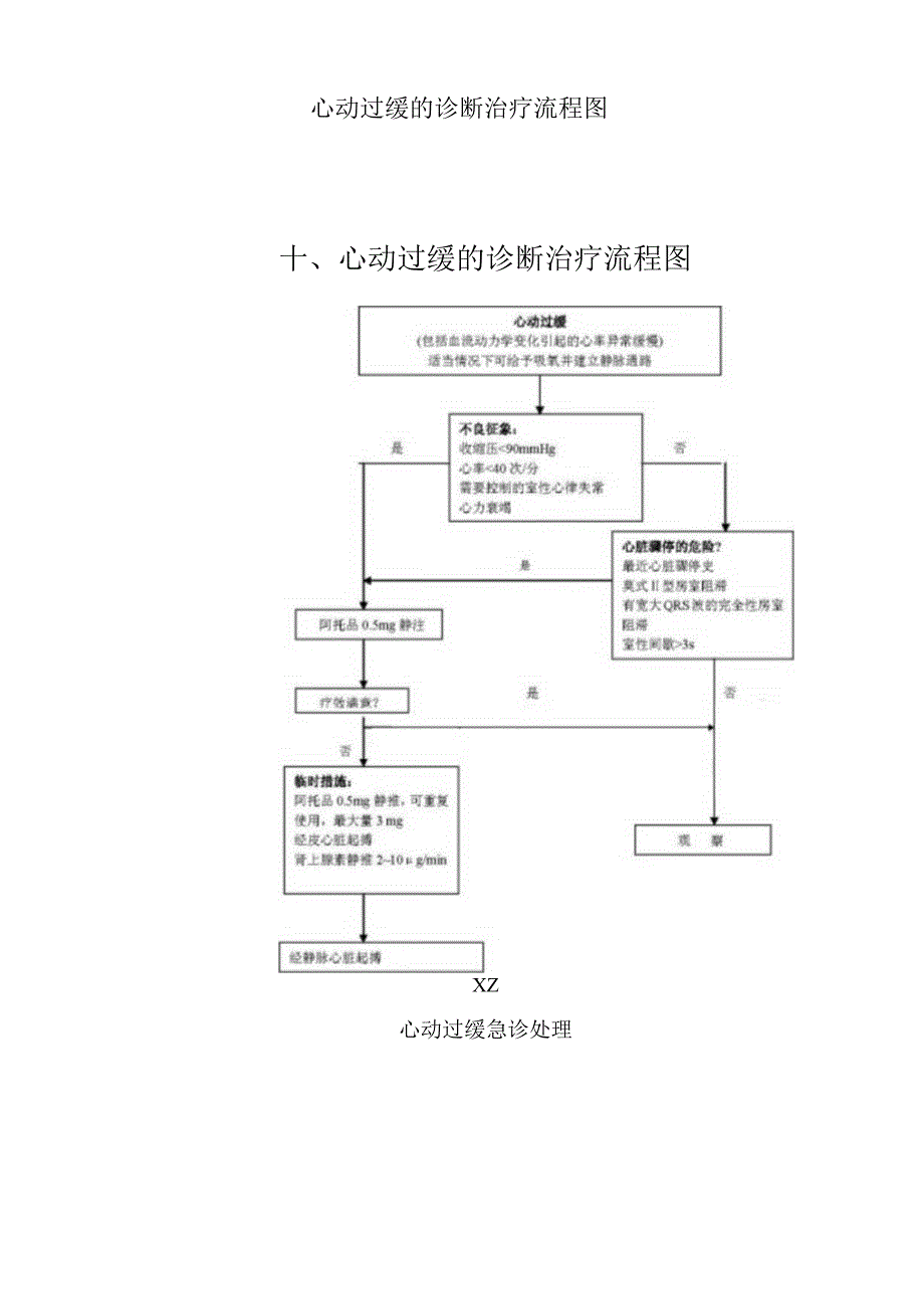 心动过缓的诊断治疗流程图.docx_第1页