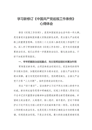 2024版新修订《中国共产党巡视工作条例》学习体会研讨发言稿五篇.docx