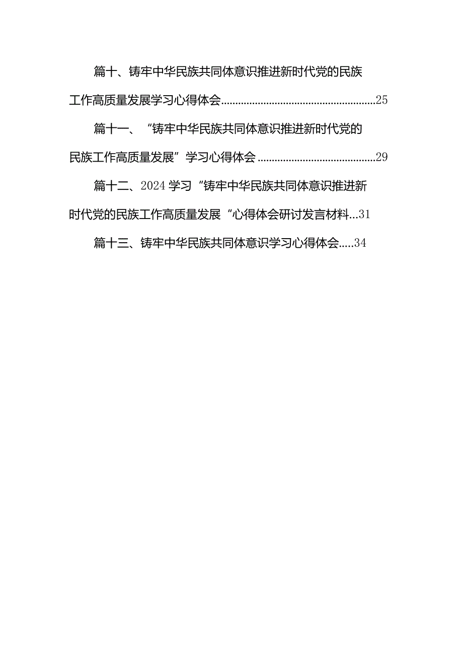 铸牢中华民族共同体意识推进新时代党的民族工作高质量发展学习心得研讨交流发言材料13篇（最新版）.docx_第2页