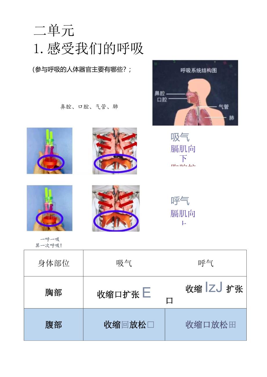 四年级上册科学复习清单.docx_第3页