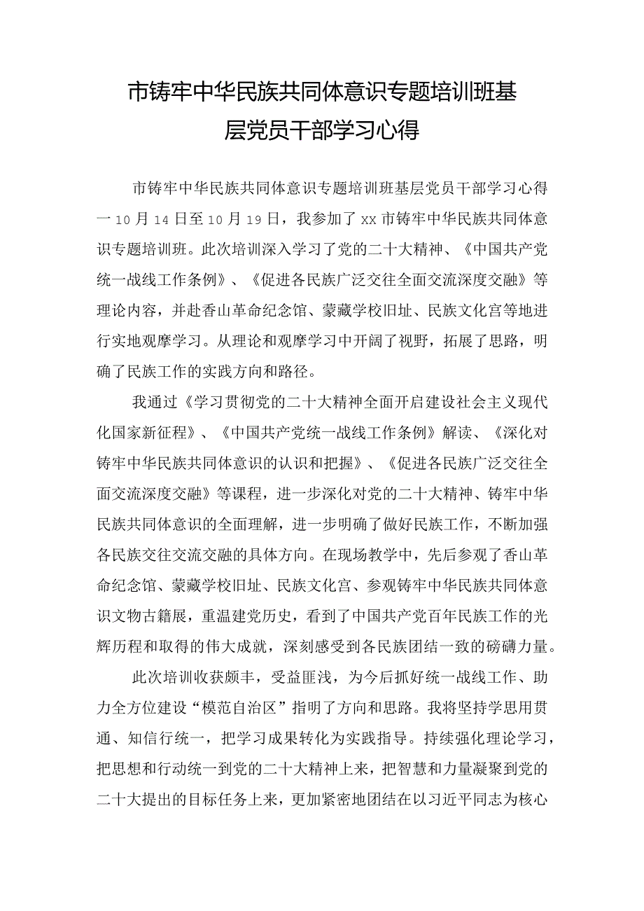 市铸牢中华民族共同体意识专题培训班基层党员干部学习心得.docx_第1页