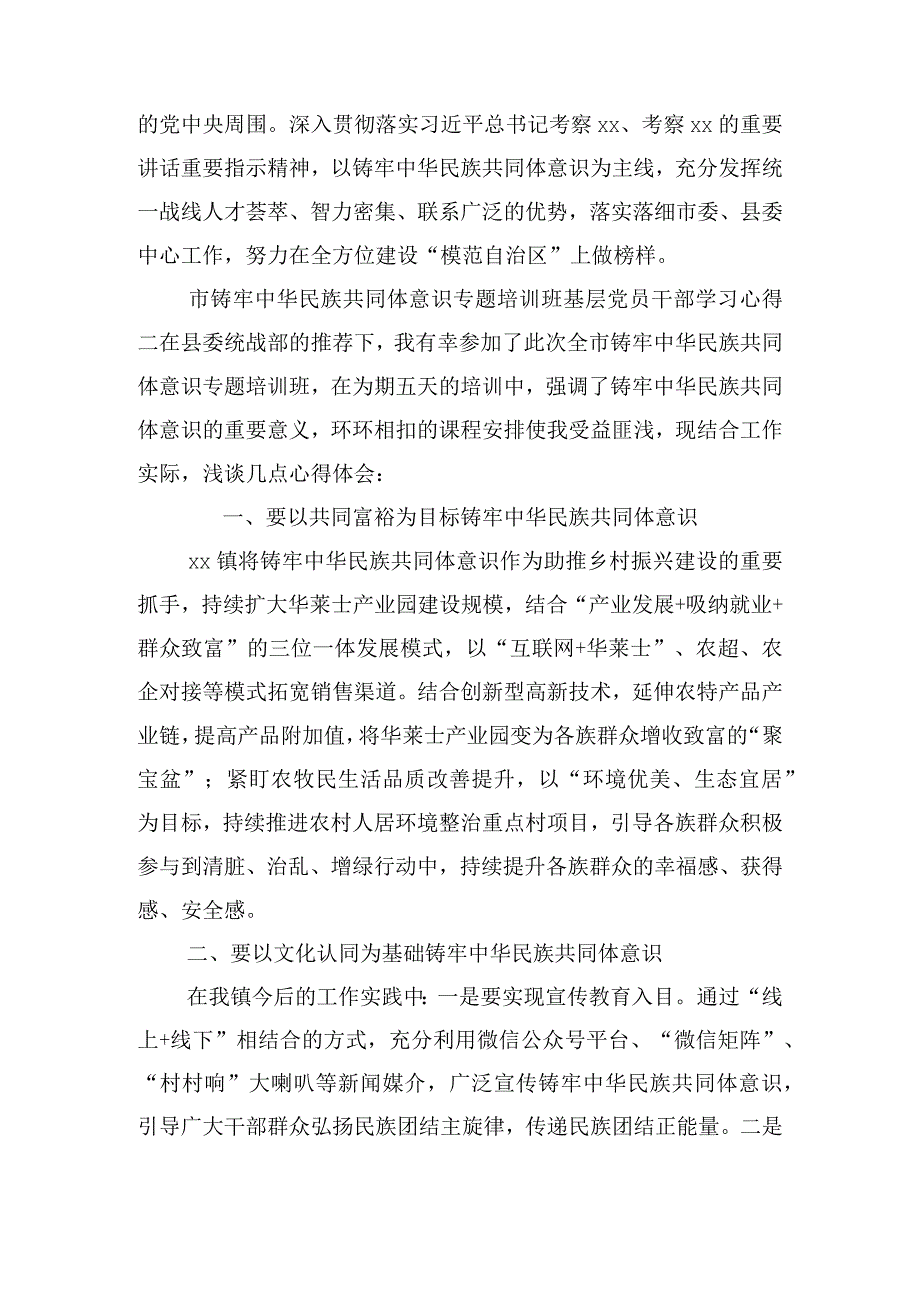 市铸牢中华民族共同体意识专题培训班基层党员干部学习心得.docx_第2页