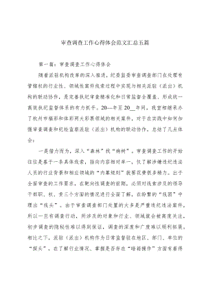 审查调查工作心得体会范文汇总五篇.docx