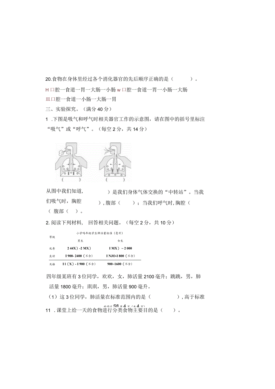 教科版四年级科学上册第二单元《呼吸与消化》测试卷及答案.docx_第3页