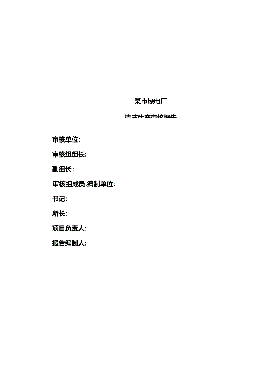 热电厂清洁生产审核报告.docx_第3页