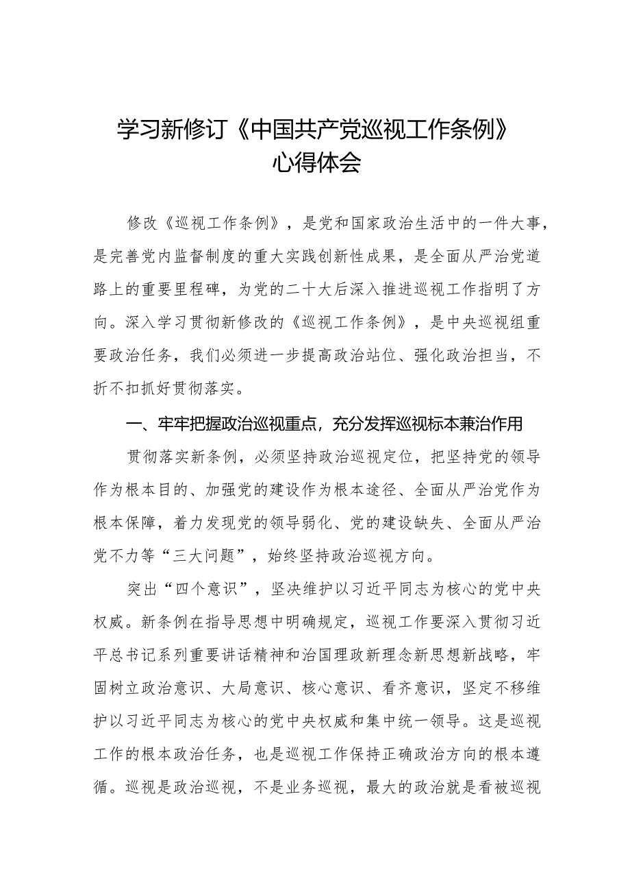 2024版新修订《中国共产党巡视工作条例》学习心得体会五篇.docx_第1页