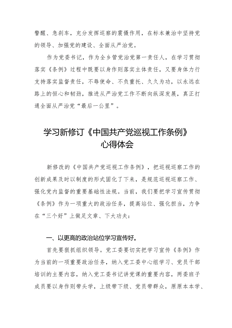 乡镇书记学习2024新修订中国共产党巡视工作条例心得体会五篇.docx_第3页