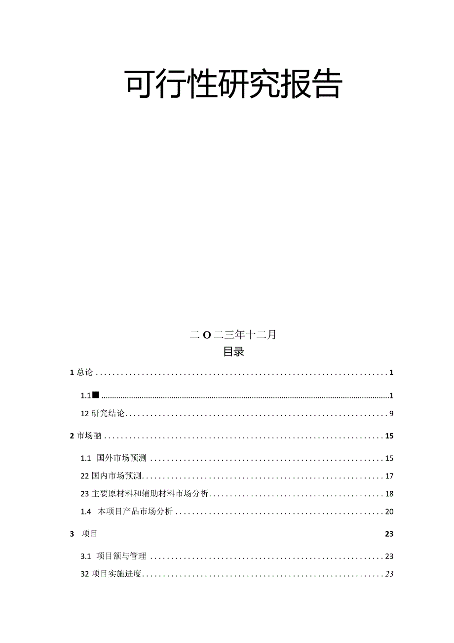 柬埔寨高性能子午线轮胎项目（二期）可行性研究报告.docx_第2页